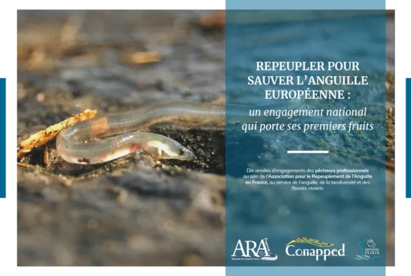Page de couverture de la brochure sur le repeuplement de l'anguille