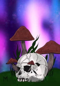 Dessin numérique : crâne avec des champignons
