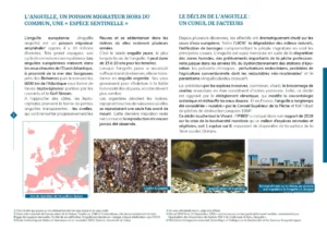 Page intérieure de la brochure sur le repeuplement de l'anguille