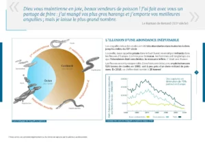 Page intérieure de la brochure sur le repeuplement de l'anguille