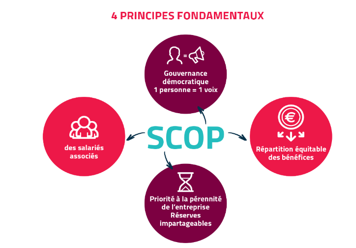 Schéma explicatif des SCOP
